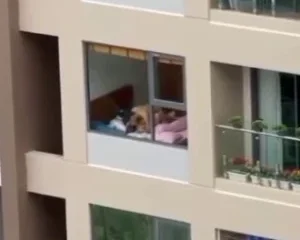Full clip thể dục buổi sáng của đôi vợ chồng trẻ tại chung cư
