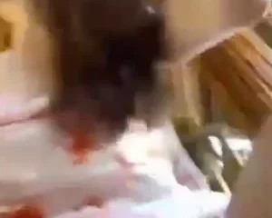 Kitty-Lê cực mlem, ngoan ngoãn như cô hầu cực thích