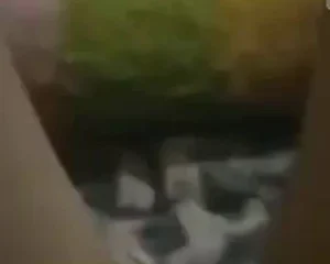 Nóng. Full clip em gái call video với bạn trai để thủ dâm nhưng bạn trai lại quay video lại ^^